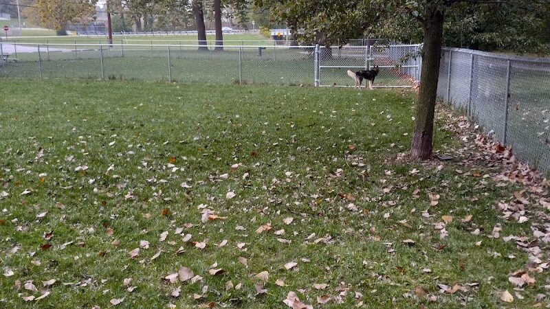 Roadside dog park - Piqua, OH