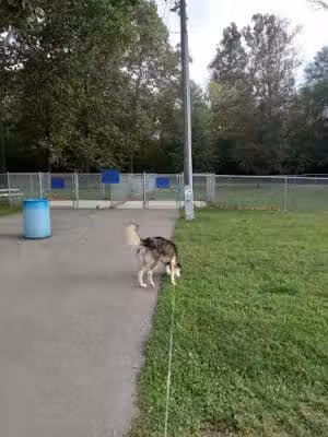 Roadside dog park - Piqua, OH
