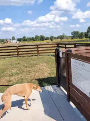 Glacier Ridge Dog Park - Plain City, OH
