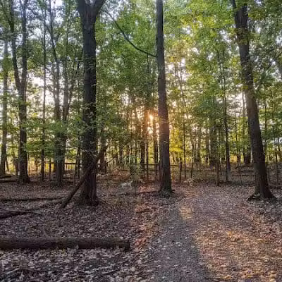 Glacier Ridge Dog Park - Plain City, OH
