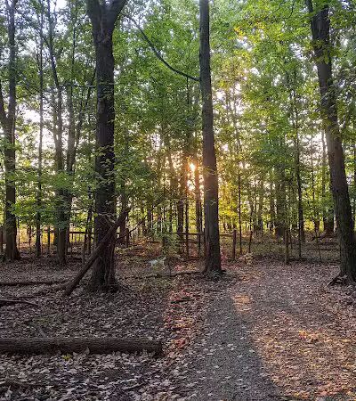 Glacier Ridge Dog Park - Plain City, OH