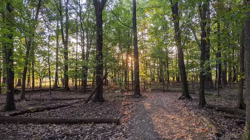 Glacier Ridge Dog Park - Plain City, OH
