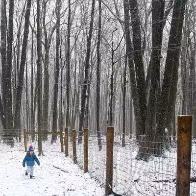 Glacier Ridge Dog Park - Plain City, OH