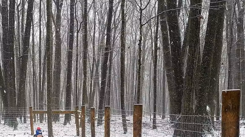 Glacier Ridge Dog Park - Plain City, OH