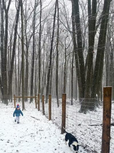 Glacier Ridge Dog Park - Plain City, OH