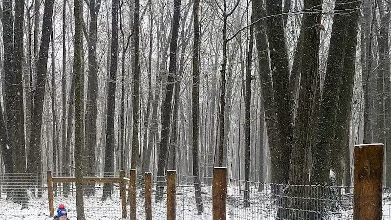 Glacier Ridge Dog Park - Plain City, OH