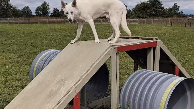 Glacier Ridge Dog Park - Plain City, OH