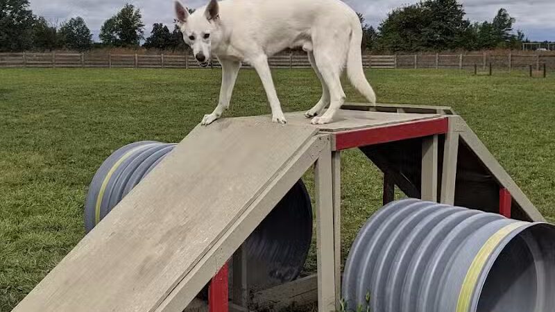 Glacier Ridge Dog Park - Plain City, OH
