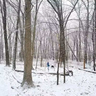 Glacier Ridge Dog Park - Plain City, OH