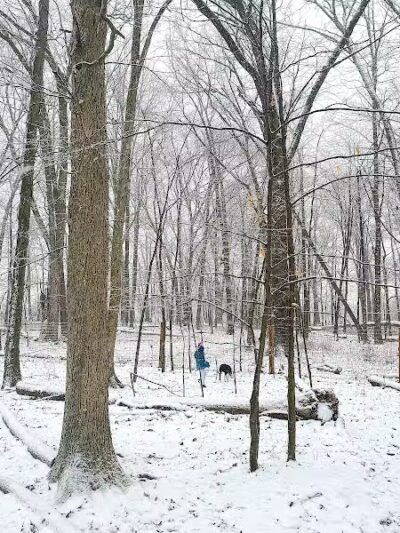 Glacier Ridge Dog Park - Plain City, OH