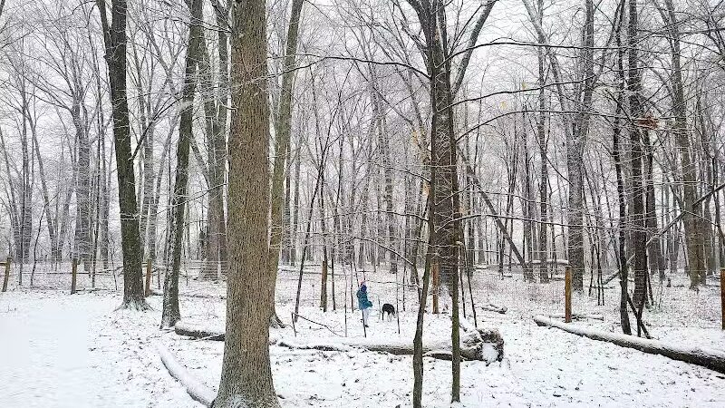 Glacier Ridge Dog Park - Plain City, OH