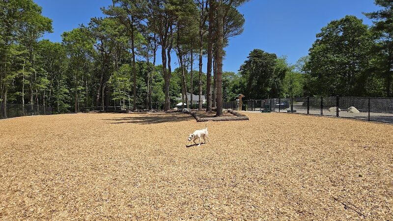 Cedarville Dog Park - Plymouth, MA