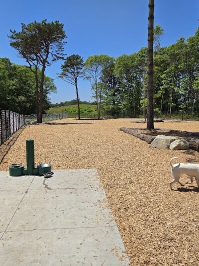 Cedarville Dog Park - Plymouth, MA