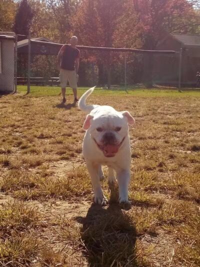 Woodworth Community Park - Poland, OH