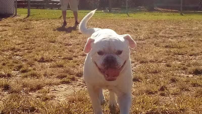 Woodworth Community Park - Poland, OH