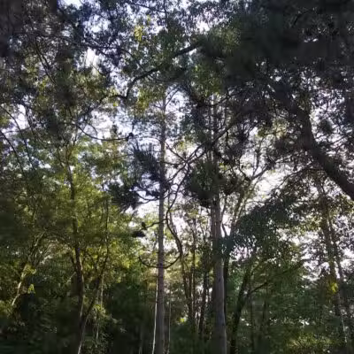 Woodworth Community Park - Poland, OH