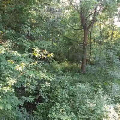 Woodworth Community Park - Poland, OH