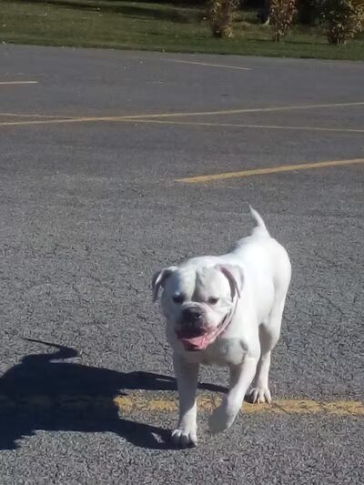 Woodworth Community Park - Poland, OH