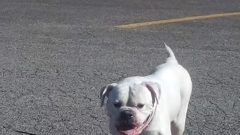 Woodworth Community Park - Poland, OH