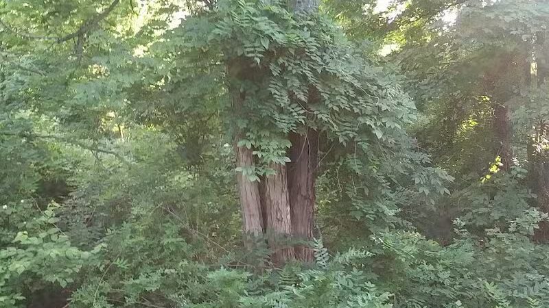 Woodworth Community Park - Poland, OH