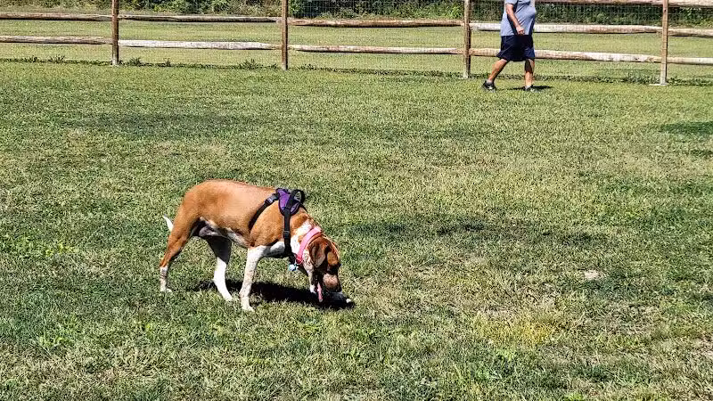 Hopfinger Zimmerman Memorial Park & Dog Park - Port Clinton, OH
