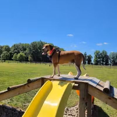 Hopfinger Zimmerman Memorial Park & Dog Park - Port Clinton, OH