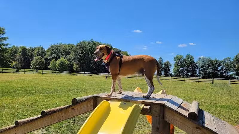 Hopfinger Zimmerman Memorial Park & Dog Park - Port Clinton, OH