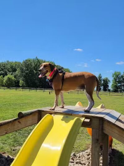 Hopfinger Zimmerman Memorial Park & Dog Park - Port Clinton, OH