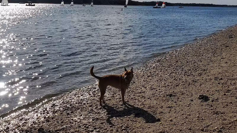 Port Jefferson Dog Beach - Port Jefferson, NY