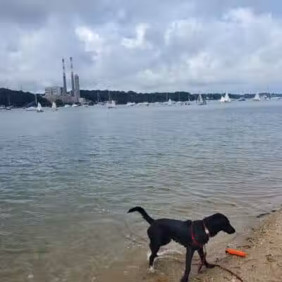 Port Jefferson Dog Beach - Port Jefferson, NY
