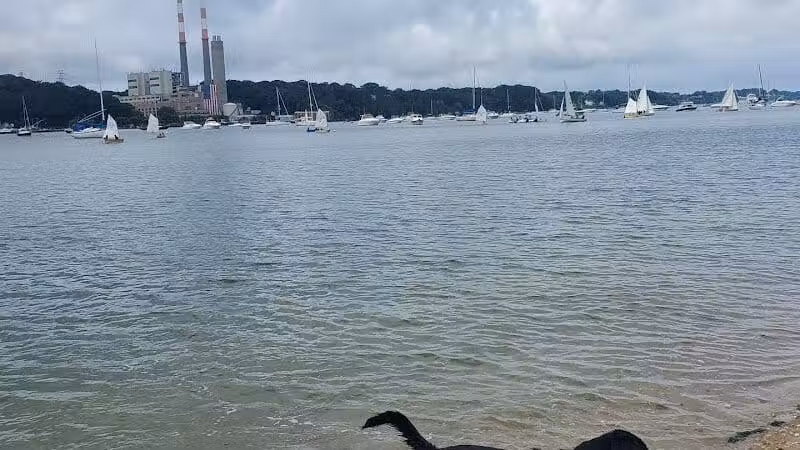 Port Jefferson Dog Beach - Port Jefferson, NY