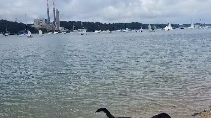 Port Jefferson Dog Beach - Port Jefferson, NY