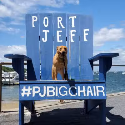 Port Jefferson Dog Beach - Port Jefferson, NY