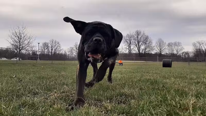 Portland Dog Park - Portland, IN