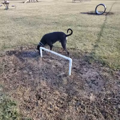 Portland Dog Park - Portland, IN