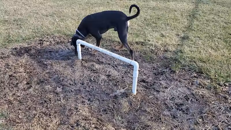 Portland Dog Park - Portland, IN