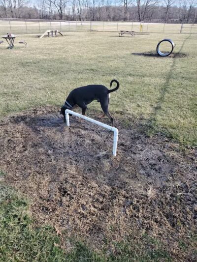 Portland Dog Park - Portland, IN