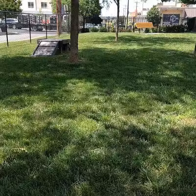 Spock Memorial Dog Park - Portsmouth, OH