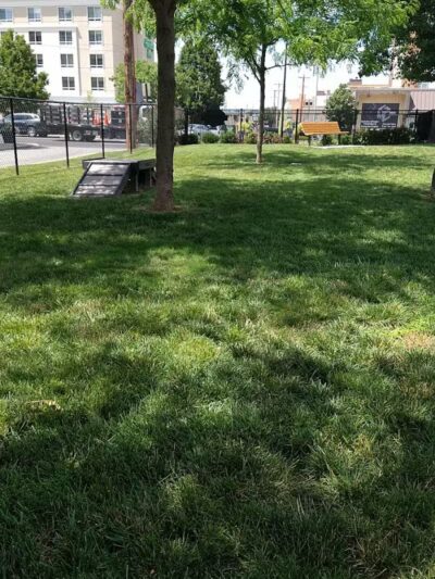 Spock Memorial Dog Park - Portsmouth, OH