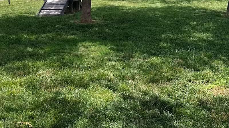 Spock Memorial Dog Park - Portsmouth, OH