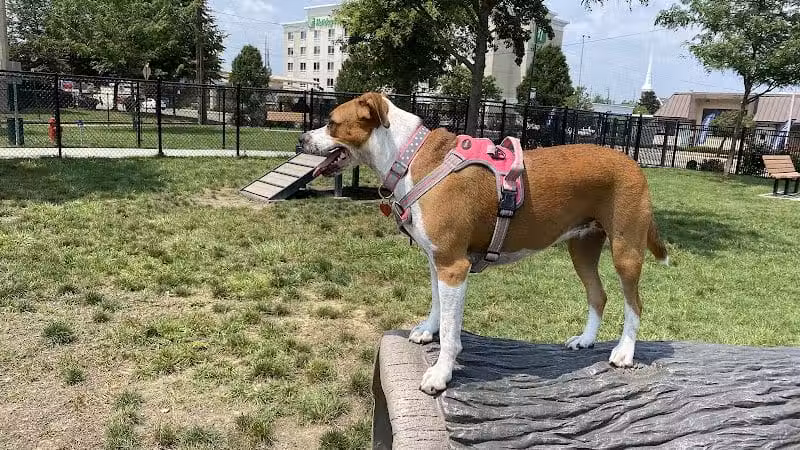 Spock Memorial Dog Park - Portsmouth, OH