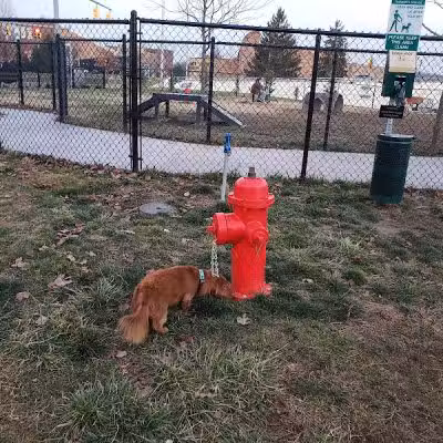 Spock Memorial Dog Park - Portsmouth, OH