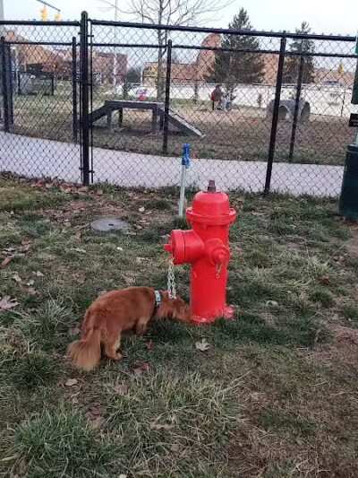 Spock Memorial Dog Park - Portsmouth, OH