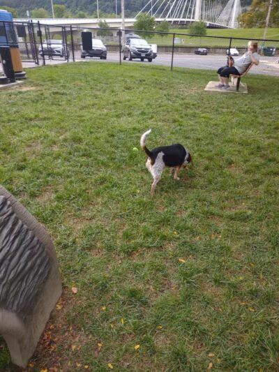 Spock Memorial Dog Park - Portsmouth, OH
