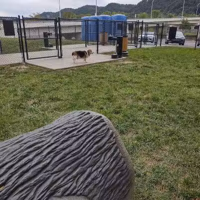 Spock Memorial Dog Park - Portsmouth, OH