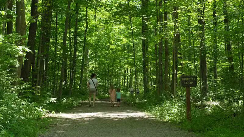 Emily Traphagen Park - Powell, OH