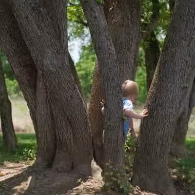Emily Traphagen Park - Powell, OH