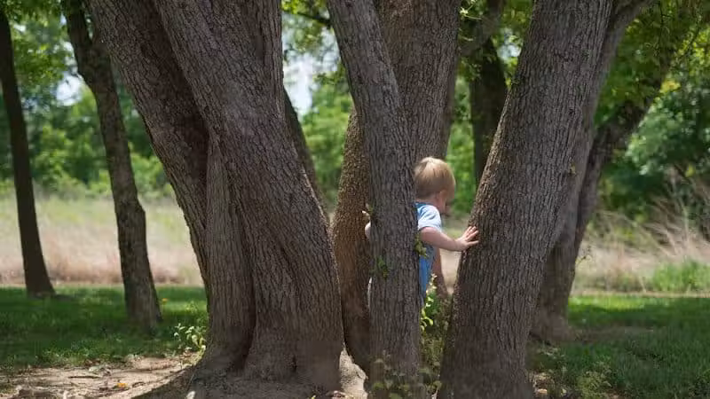 Emily Traphagen Park - Powell, OH
