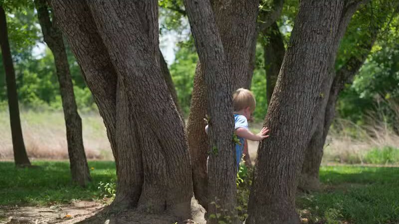 Emily Traphagen Park - Powell, OH