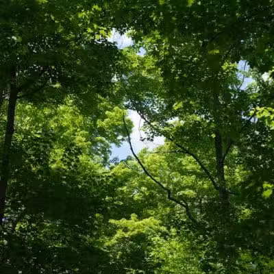 Emily Traphagen Park - Powell, OH